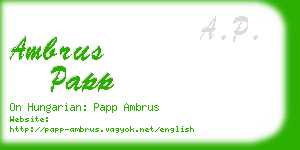 ambrus papp business card